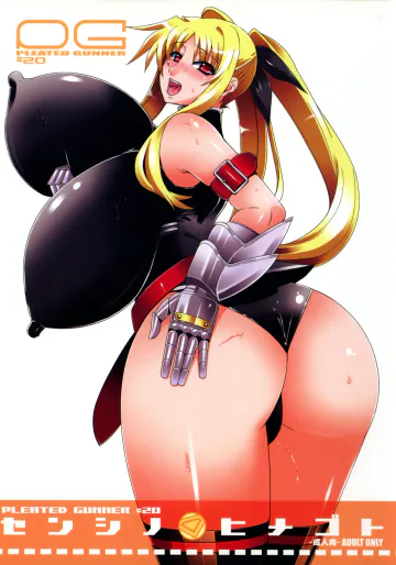 (C77) [HGH (HG茶川)] PG#20 センシノヒメゴト (魔法少女リリカルなのは)