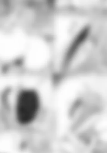 [温玉] 一部が大きい双子
