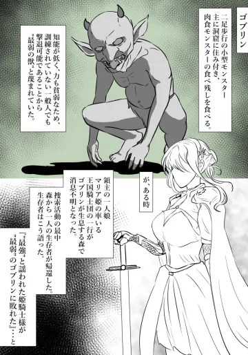 [富井ロバ] 姫騎士vsゴブリン