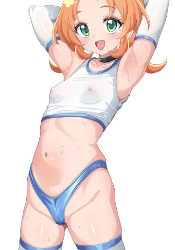 【プリキュア】dskb体操服明智さん